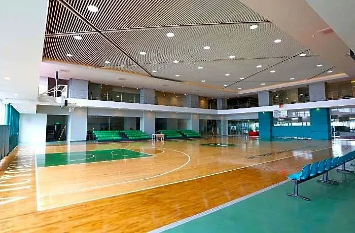 Vs 4*